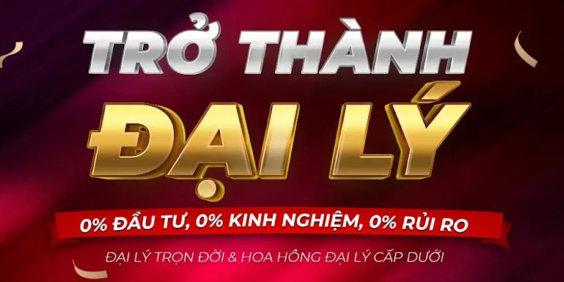 Đại lý 7m